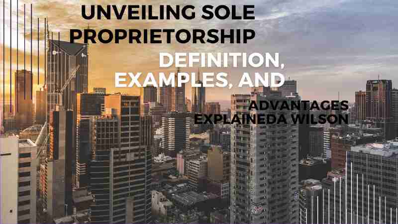 sole proprietorship